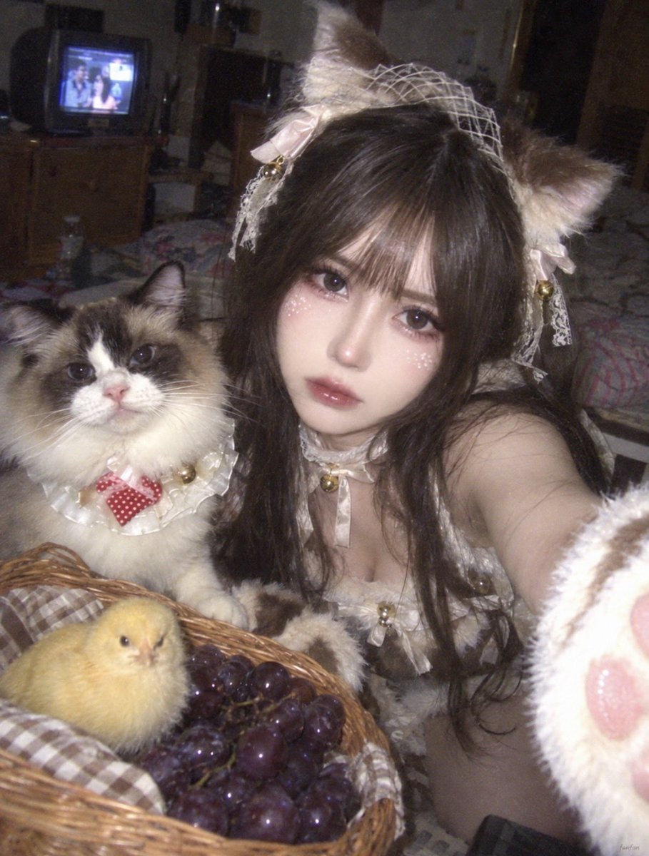 Profile / Avatar - Nokia Phone Selfie with Ragdoll Cat Cosplay