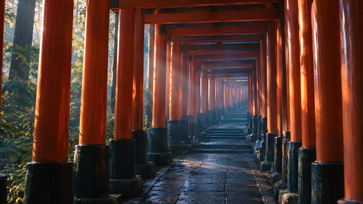 Empty Fushimi Inari Tunnel at Dawn