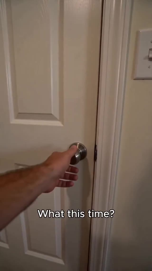 Floating Cat Room Surprise