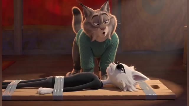 Lynx Cat Taunts Taped White Cat