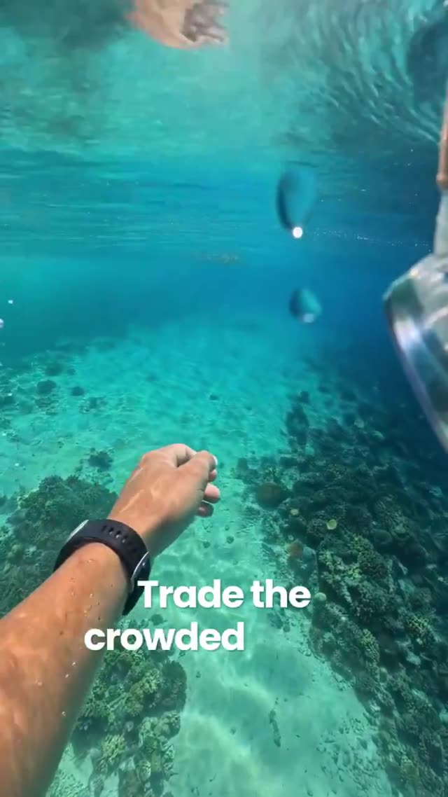 First-Person Caribbean Reef Dive