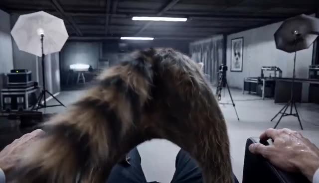 Menacing Raccoon in Industrial Studio