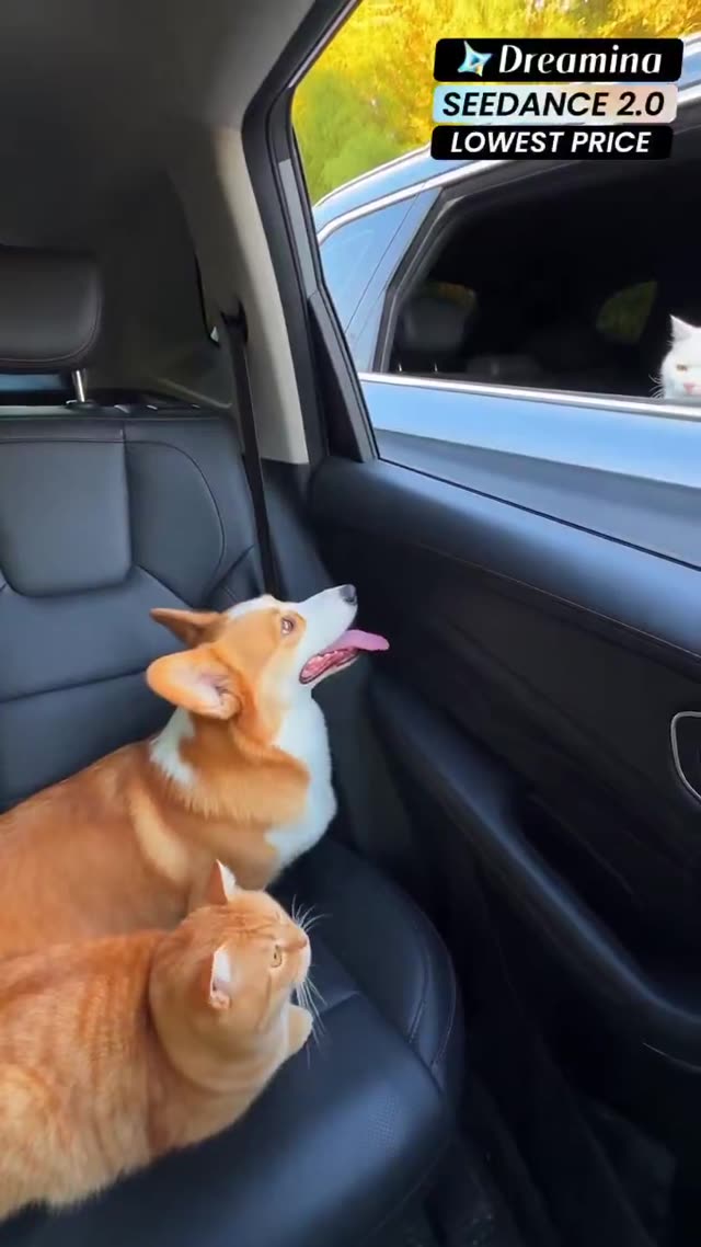 Cat Transforms into Lion in Car