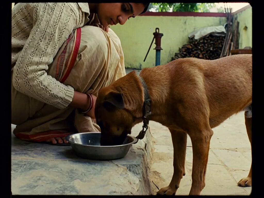 Woman secretly feeding street dog in 1953