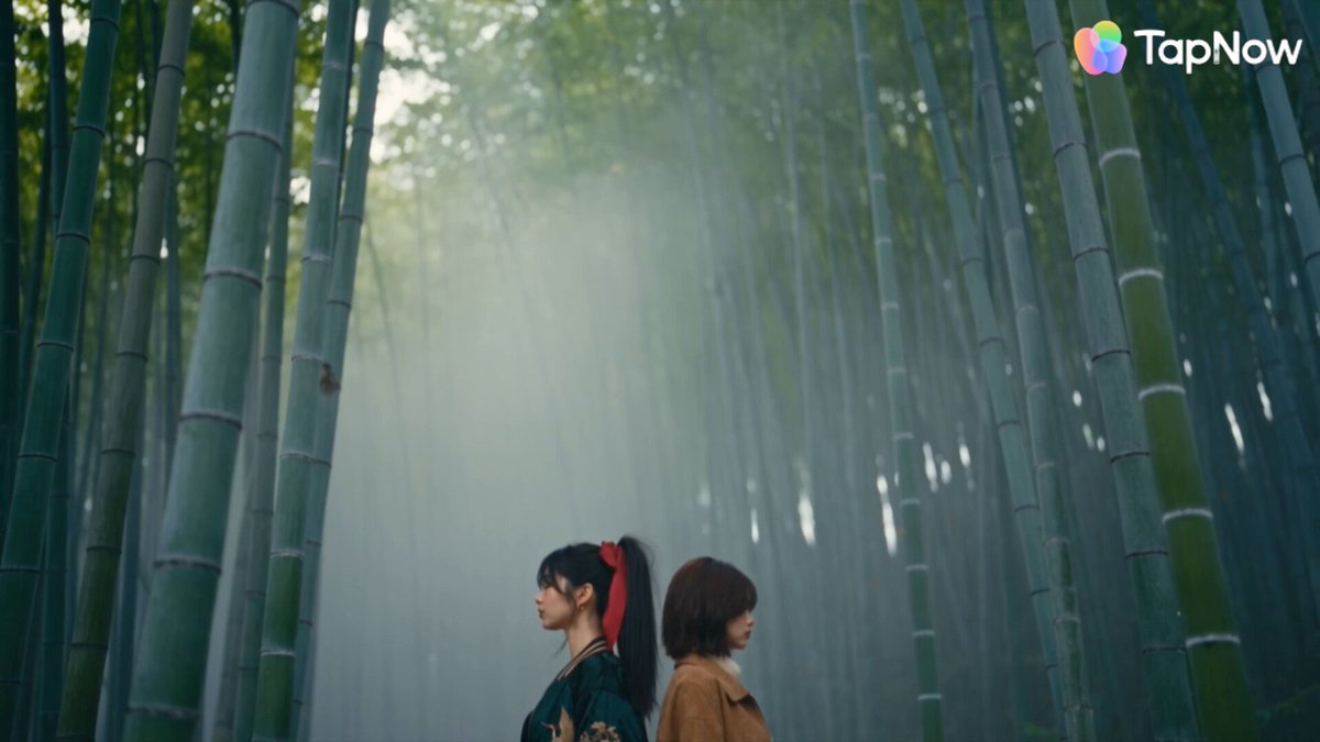 Two dancers performing autumn dance in Kyoto