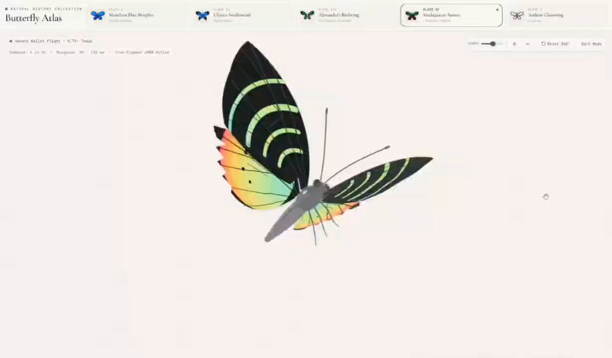 Butterfly museum with five rendered specimens