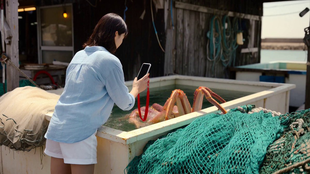 Spontaneous travel vlog at a Japanese fishing harbor
