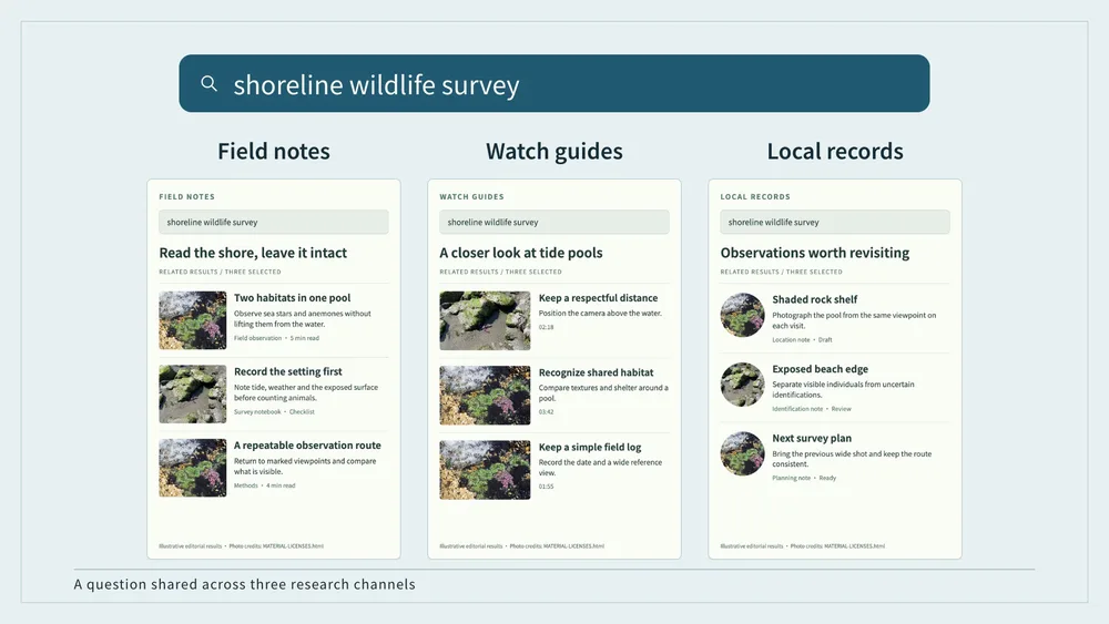Query Panels preview